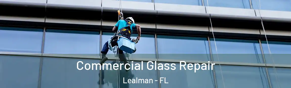  Commercial Glass Repair Lealman - FL