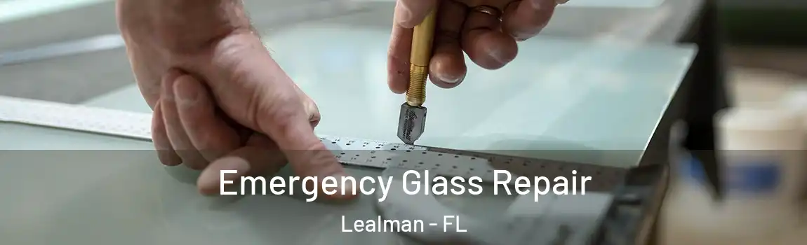  Emergency Glass Repair Lealman - FL