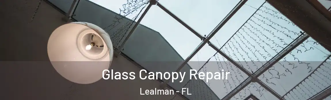 Glass Canopy Repair Lealman - FL
