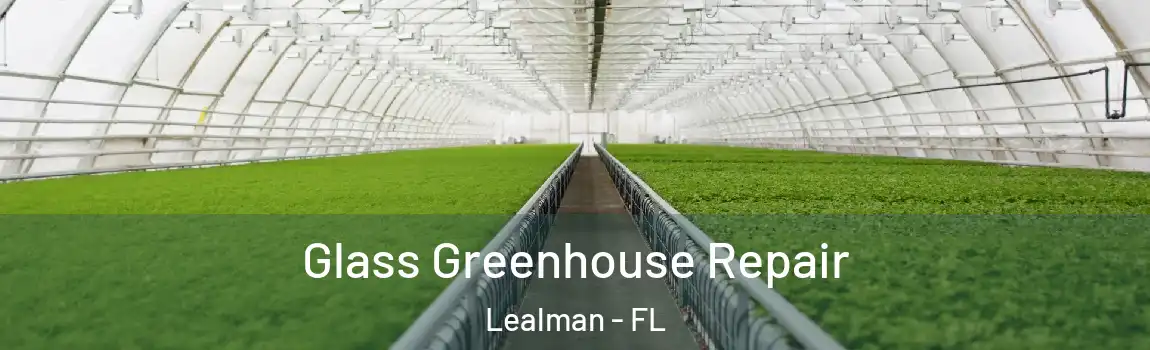 Glass Greenhouse Repair Lealman - FL