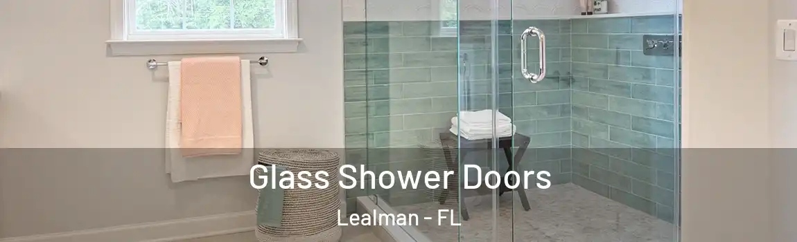 Glass Shower Doors Lealman - FL