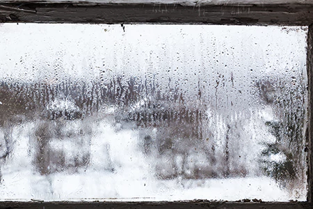 Defogging Double Pane Windows in Lealman, FL