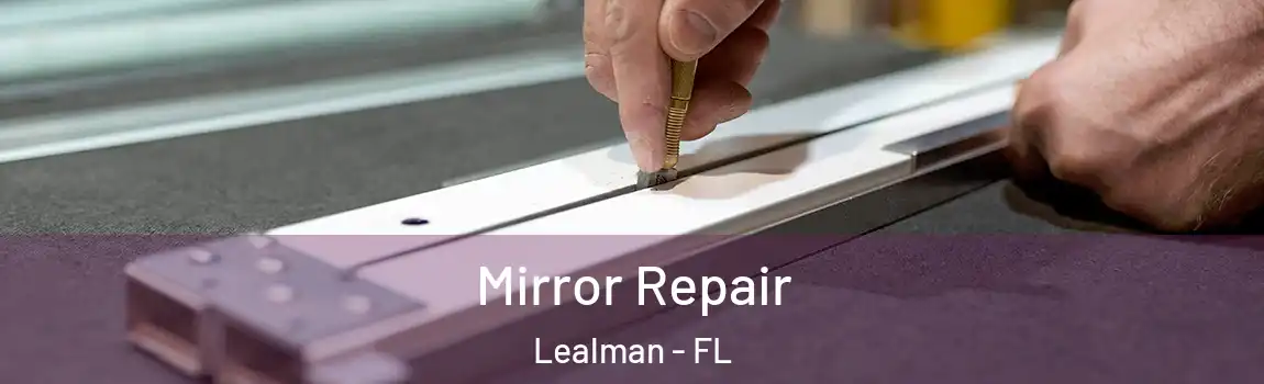  Mirror Repair Lealman - FL