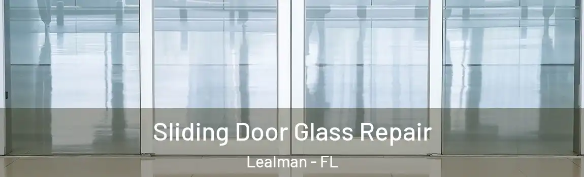 Sliding Door Glass Repair Lealman - FL