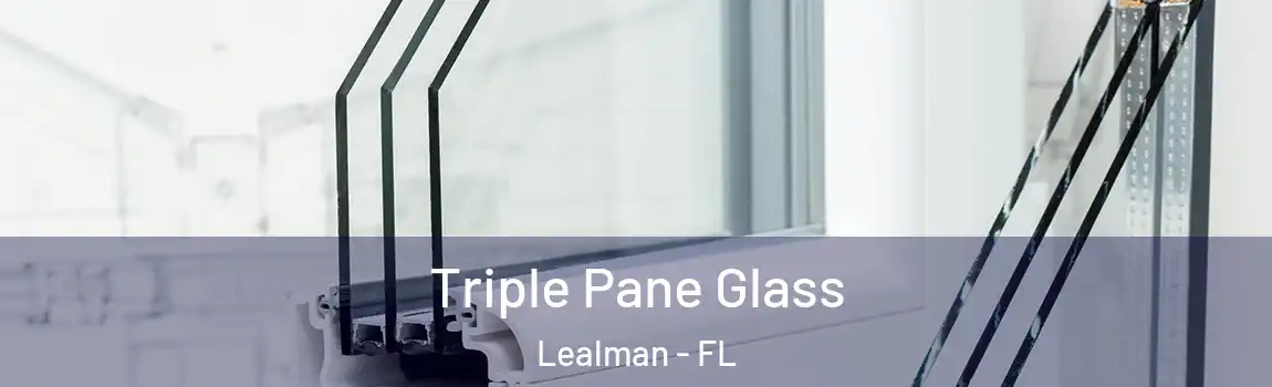  Triple Pane Glass Lealman - FL